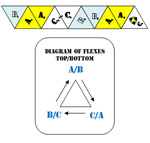 trihexaflexagon